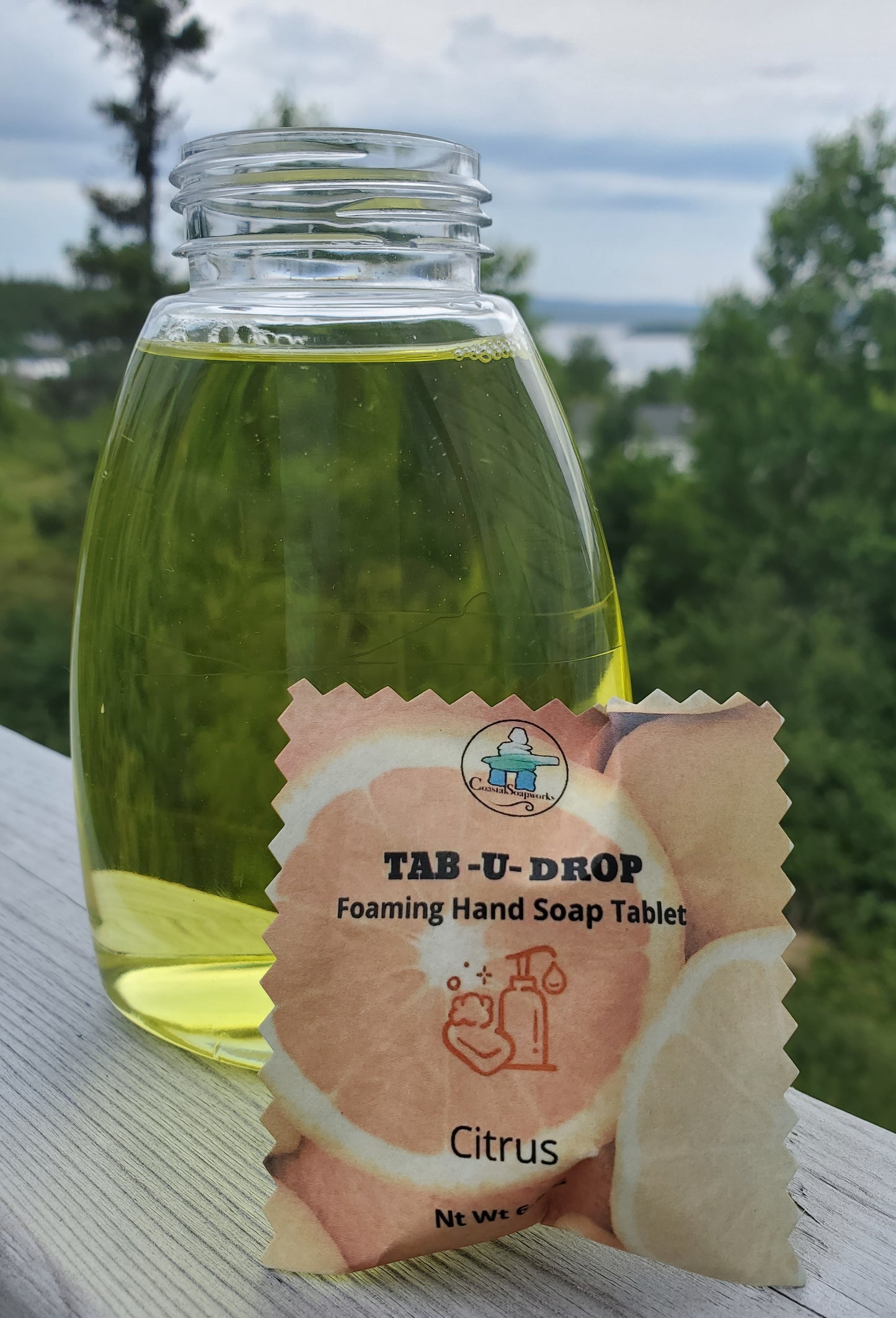 Foaming Hand Soap Tablet Recipe