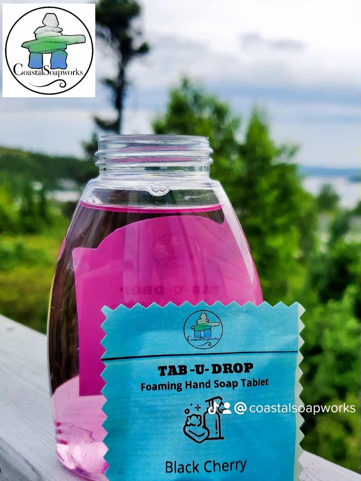 Foaming Hand Soap Tablet Recipe